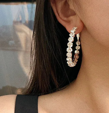 Crystal Earrings Versatile Stud Earrings